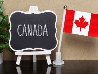 Top Small Business Ideas to Consider in Canada